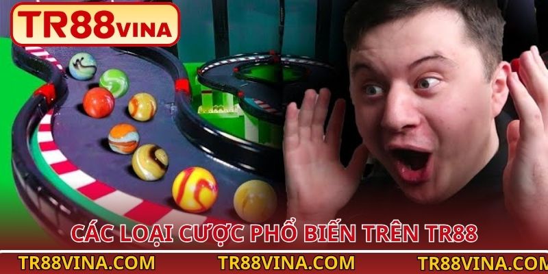 Các loại cược phổ biến trên TR88